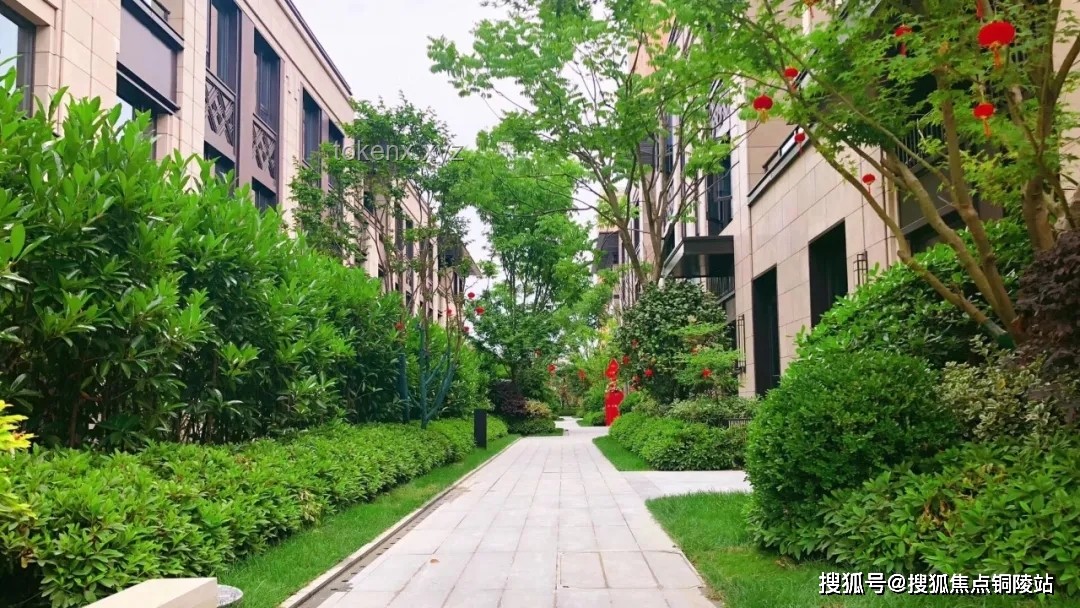 **【脏增肌30天】我的身体发生了什么变化？！**